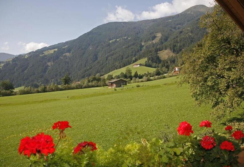 Апартаменты 1 Спальня с Видом, Apart Alpensonne Zillertal