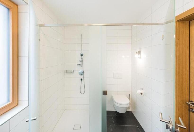 Апартаменты 1 Спальня с Балконом, Damüls Appartements