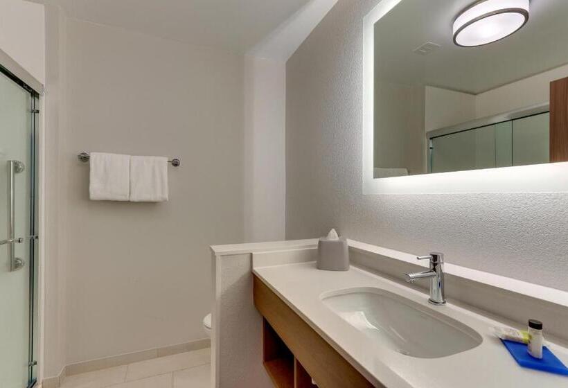 标准间, Holiday Inn Express & Suites   Roanoke – Civic Center