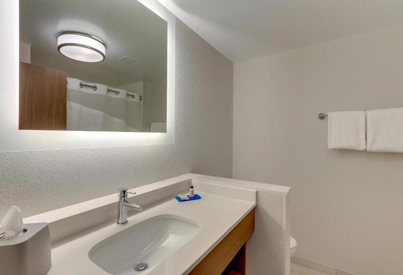 带大床的套房, Holiday Inn Express & Suites   Roanoke – Civic Center