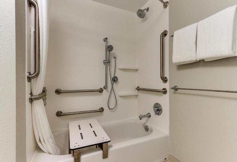带大床的套房, Holiday Inn Express & Suites   Roanoke – Civic Center
