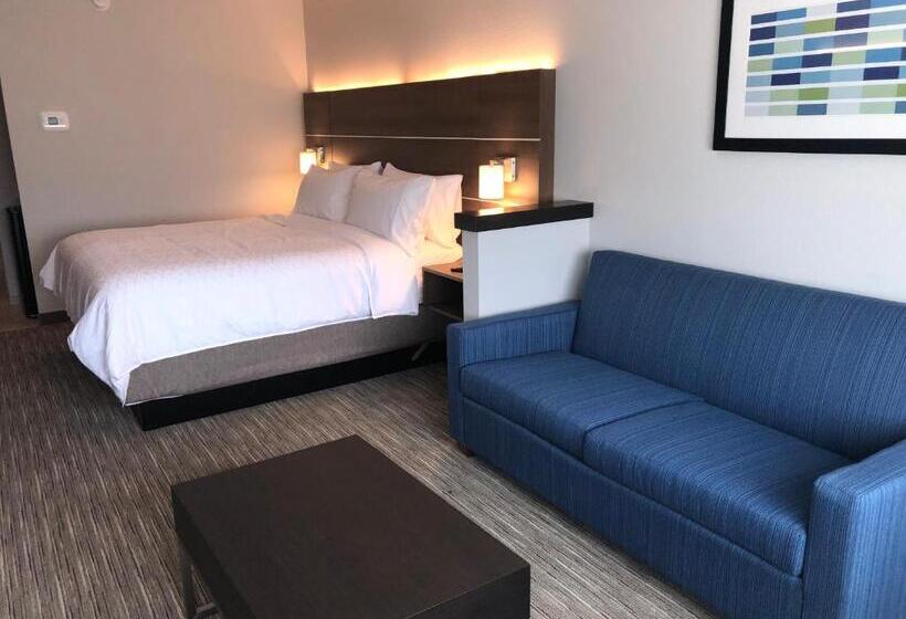 带大床的套房, Holiday Inn Express & Suites   Roanoke – Civic Center