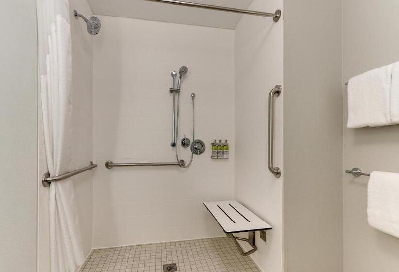 适合残疾人使用的标准间, Holiday Inn Express & Suites   Roanoke – Civic Center