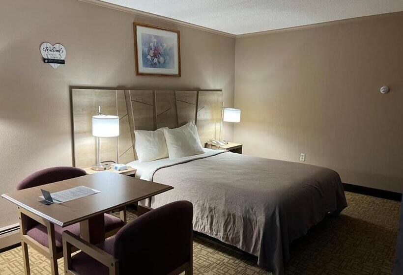 标准间, Viking Arms Inn  Ludington