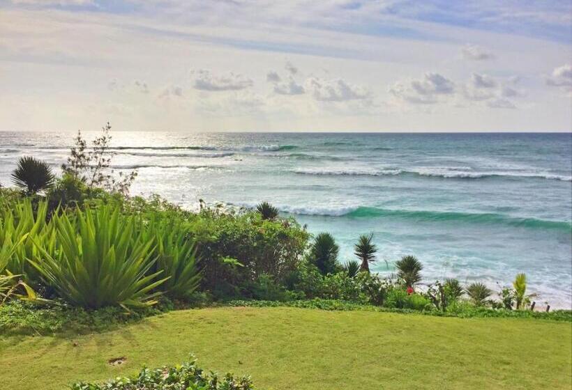 Апартаменты 1 Спальня, Wailua Bay View 115