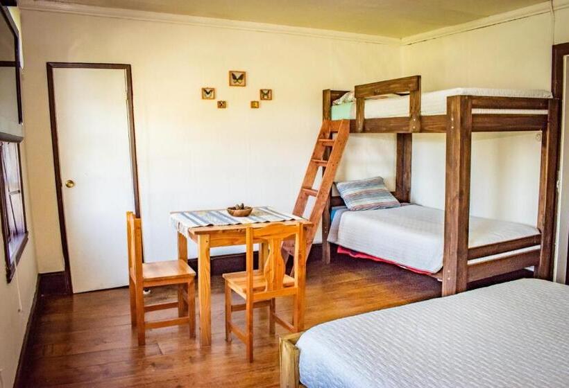 Семейный Номер, Casona Alemana