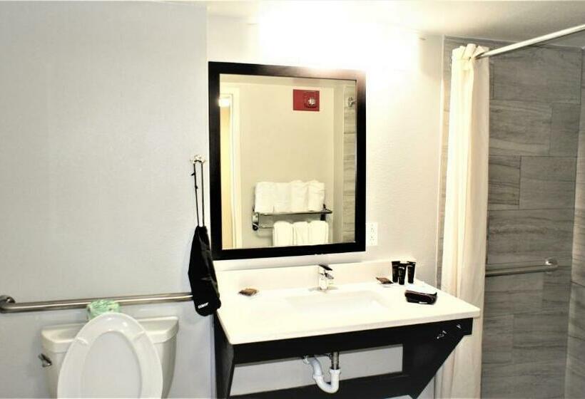Standaardkamer Aangepast voor Gehandicapten, Wingate By Wyndham Chattanooga