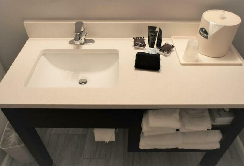 Deluxe Suite met Kingsize Bed, Wingate By Wyndham Chattanooga
