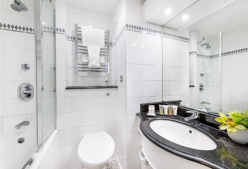 Номер Стандарт, Millennium Hotel London Knightsbridge