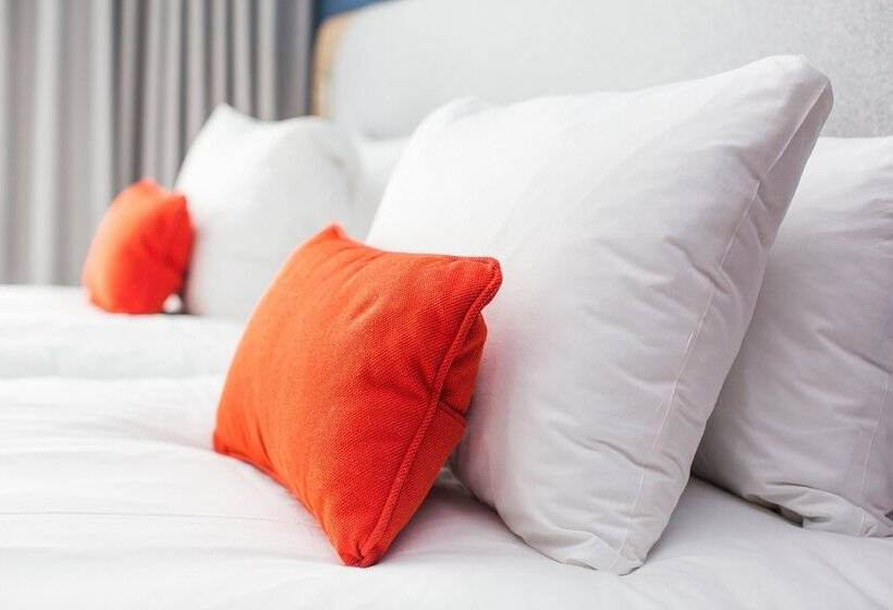 标准间, Holiday Inn Express Amsterdam   North Riverside, An Ihg
