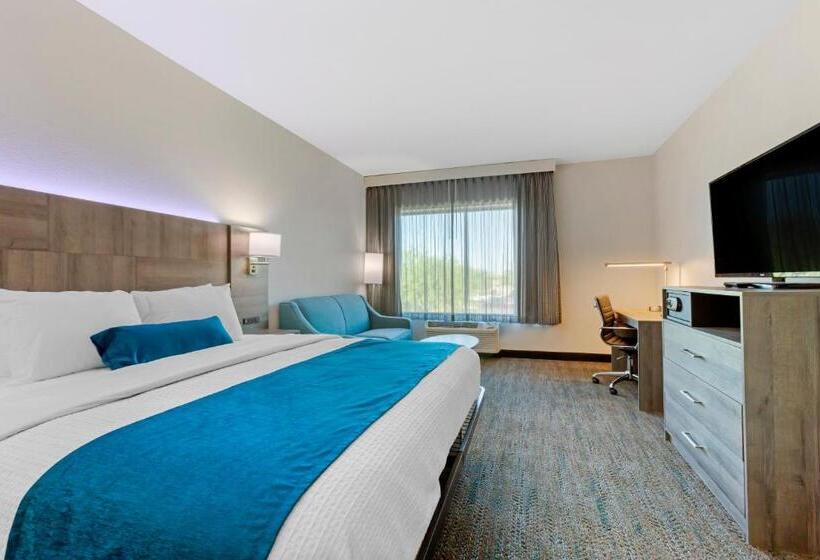 Standard Room King Size Bed, Best Western Plus Executive Residency Phoenix North Happy Valley