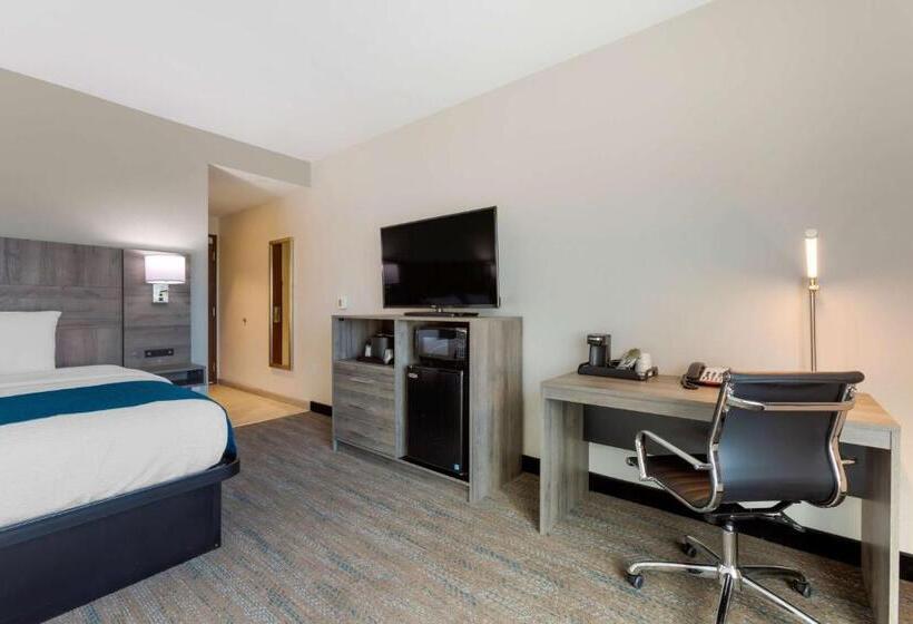 Standard Room King Size Bed, Best Western Plus Executive Residency Phoenix North Happy Valley