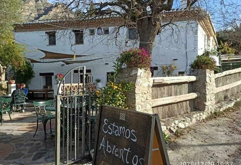 小型套房, Rural Alqueria De Los Lentos