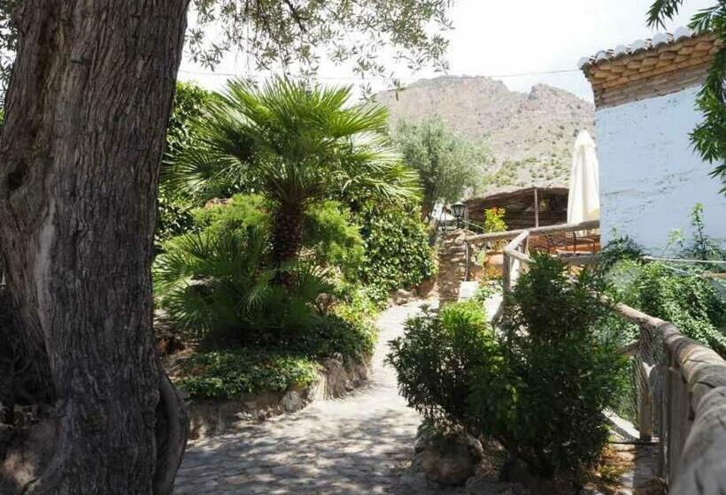 주니어 스위트, Rural Alqueria De Los Lentos