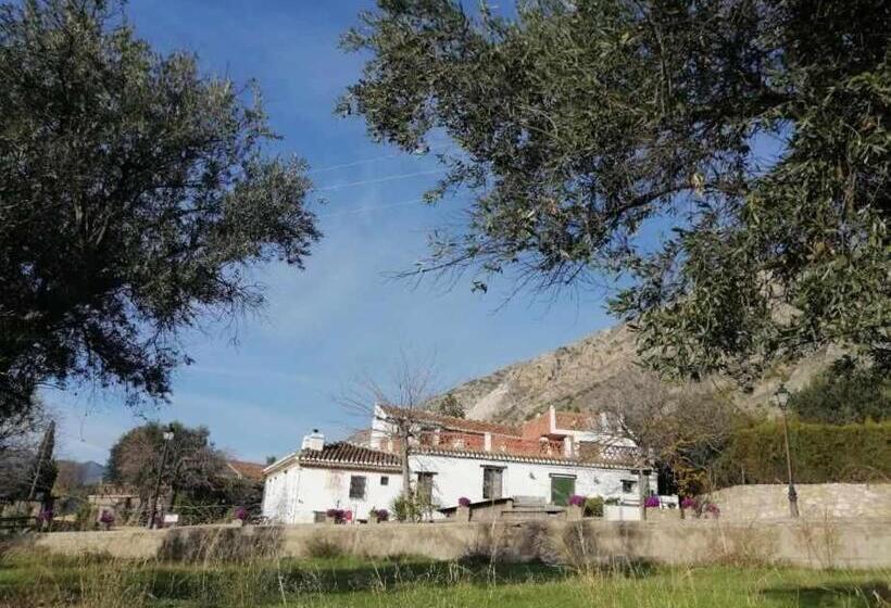 스탠다드 룸, Rural Alqueria De Los Lentos
