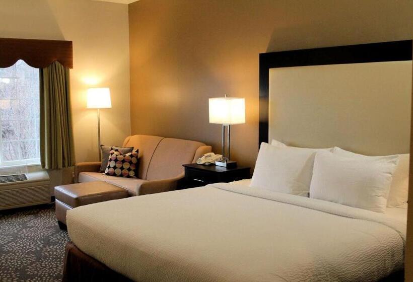 Стандартный Номер Кровать Кинг, Best Western Plus Des Moines West Inn & Suites