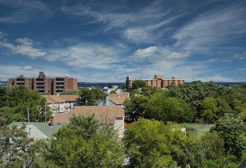 스탠다드 스튜디오 더블 침대, Staybridge Suites   Boston Logan Airport   Revere, An Ihg