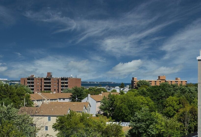 Студия Стандарт Двуспальная Кровать, Staybridge Suites   Boston Logan Airport   Revere, An Ihg