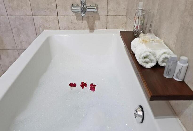 غرفة قياسية, Jonkershoek Guest Farm