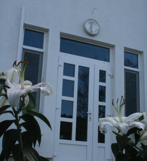 سوییت خانوادگی, Manea Orsova
