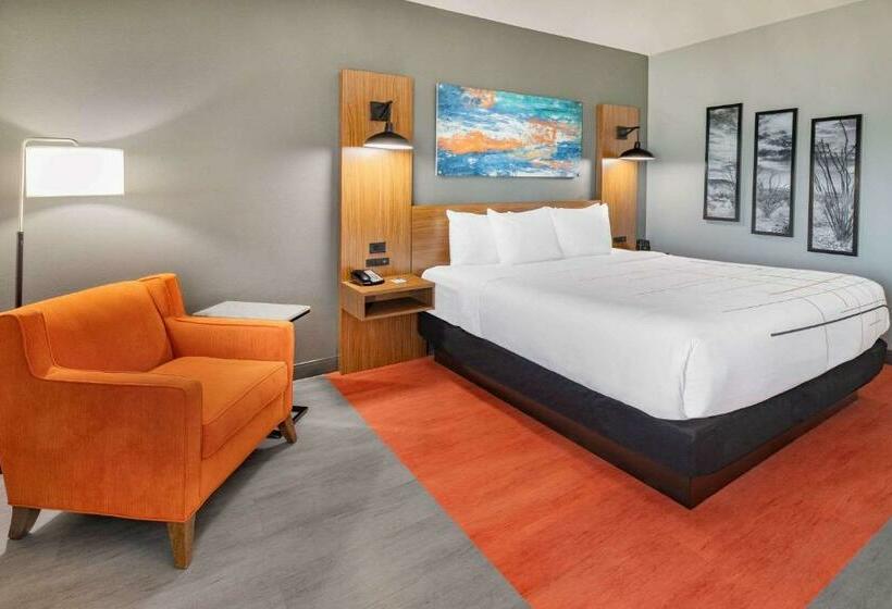 Номер Стандарт Кровать Кинг Адаптированный для Инвалидов, La Quinta Inn & Suites By Wyndham Fort Stockton Northeast