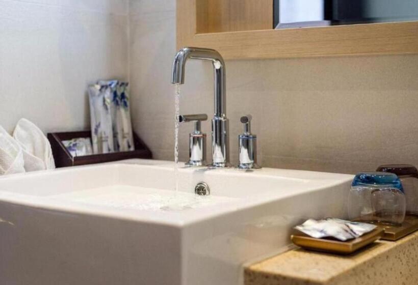 Люкс Повышенной Комфортности, Lavande Hotels·chengdu Xinjin