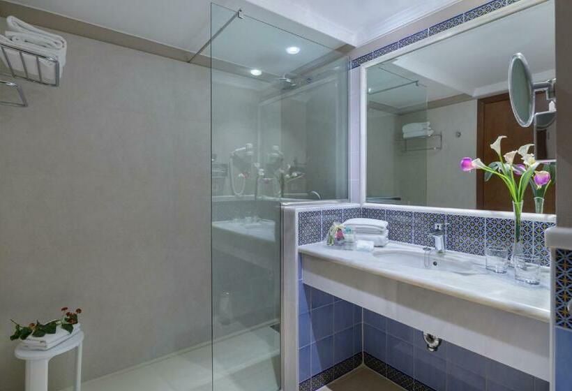 이코노미 룸, Hipotels Natura Palace - Adults Only