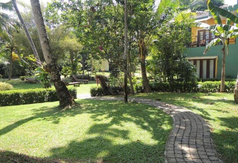 Апартаменты 1 Спальня Вид на Бассейн, Bentota Home Stay