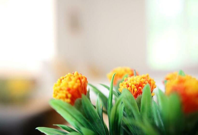 디럭스 룸, Gile Guest House