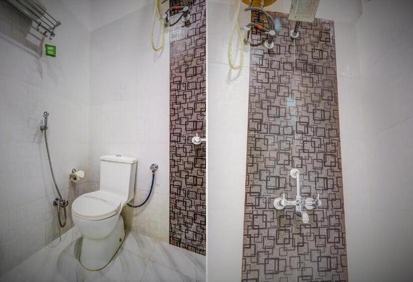 Трехместный Президентский, Fabhotel Sain Dass