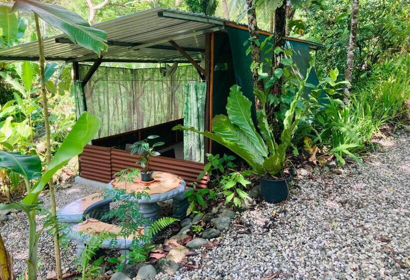 스탠다드 방갈로 정원 전망, Yejos Jungle Lodge