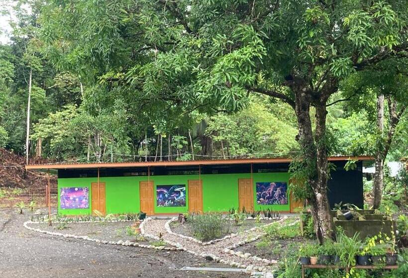 스탠다드 룸 공동 욕실, Yejos Jungle Lodge