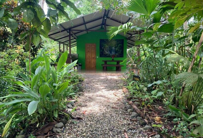 오두막, Yejos Jungle Lodge