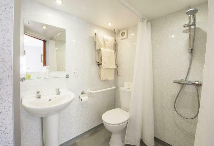 스탠다드 룸, Llanerchindda Farm Guest House