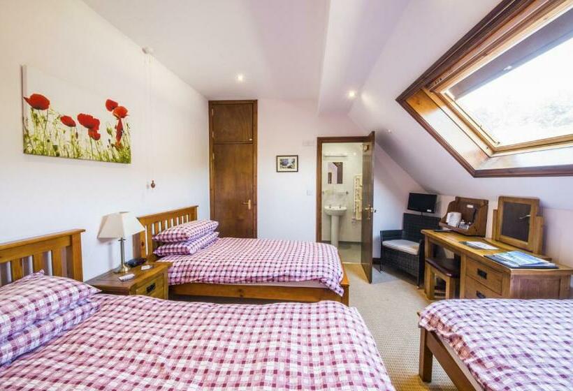 Номер Стандарт, Llanerchindda Farm Guest House