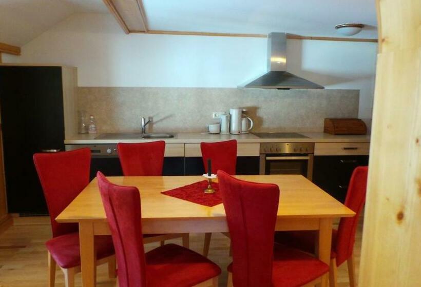 Апартаменты 1 Спальня с Балконом, Ferienwohnungen Gästehaus Altginzling
