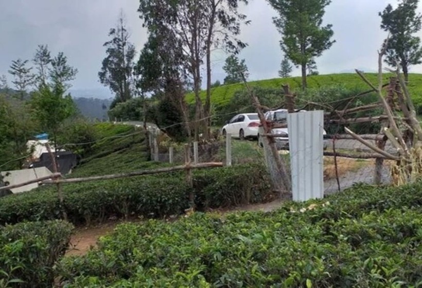 Basic Tent, Janardan Tea Resort   Campsite