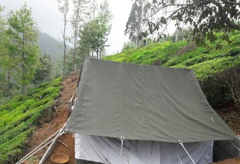 Standard Tent, Janardan Tea Resort   Campsite