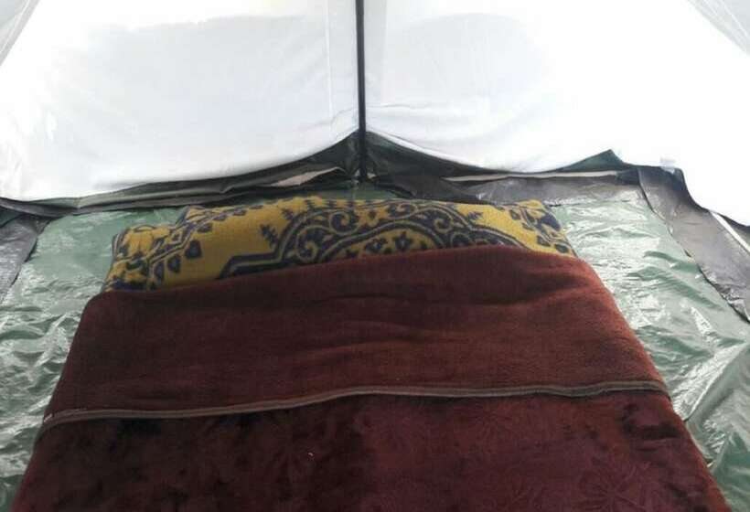 Standard Tent, Janardan Tea Resort   Campsite