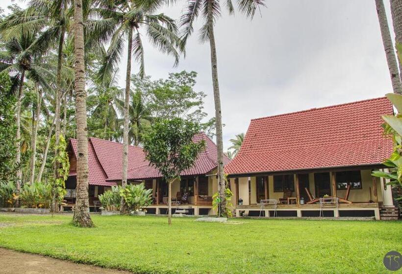 Номер Стандарт, Sadati Home Stay