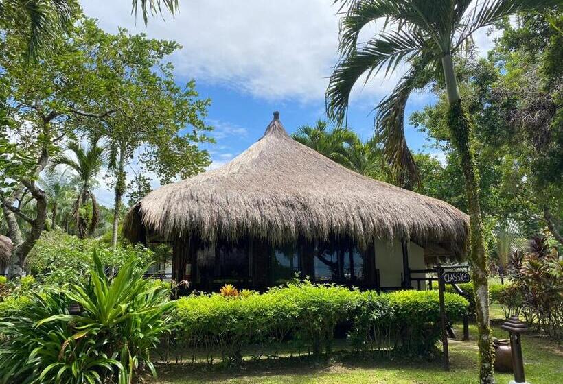 اتاق استاندارد, Hijo Resorts Davao