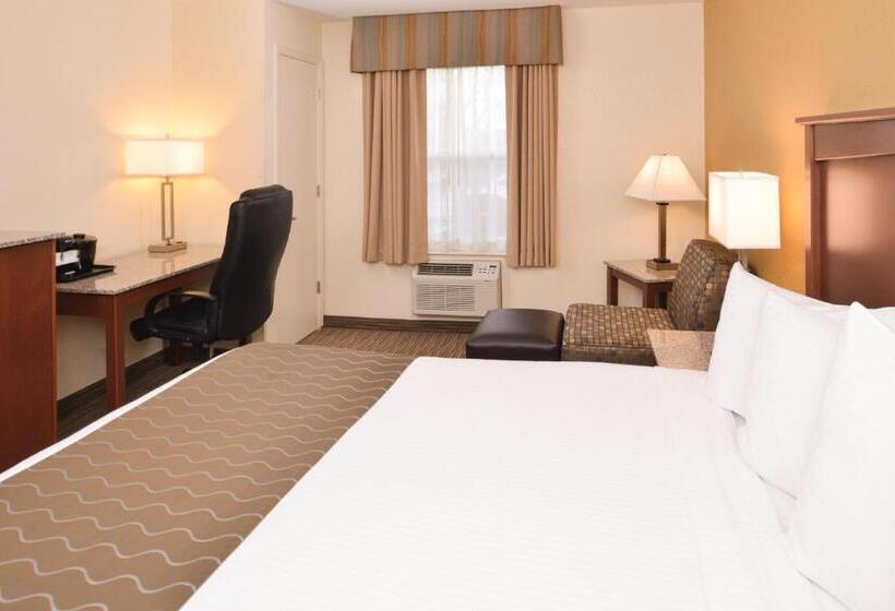 身障者適用キングサイズベッドルーム, Best Western Executive Inn & Suites