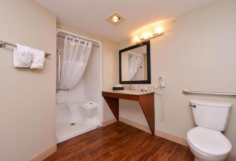 身障者適用キングサイズベッドルーム, Best Western Executive Inn & Suites