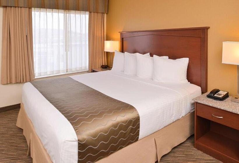 キングサイズベッドのスタンダードルーム, Best Western Executive Inn & Suites