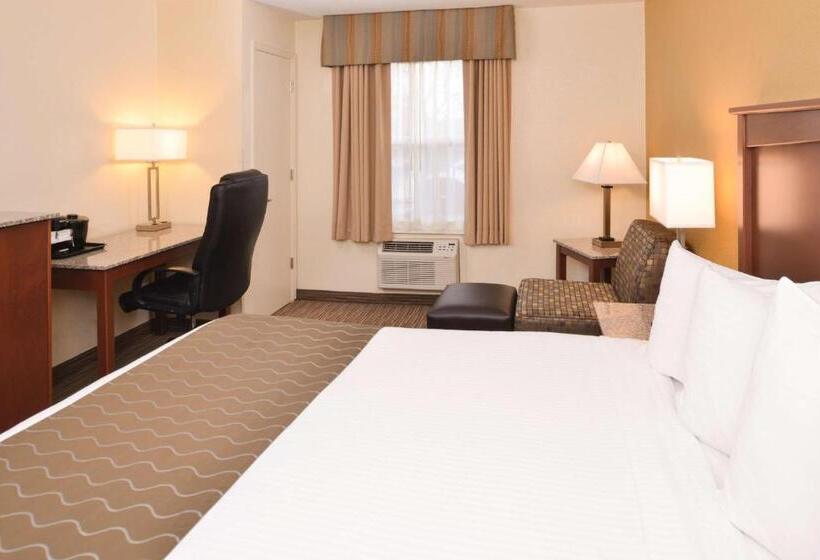 キングサイズベッドのスタンダードルーム, Best Western Executive Inn & Suites