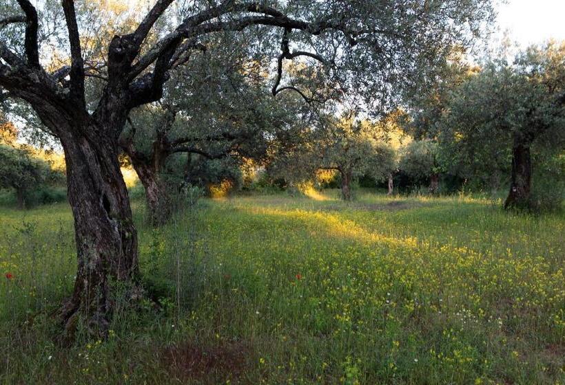 Полулюкс, Restaurant Le Gardon   Pont Du Gard