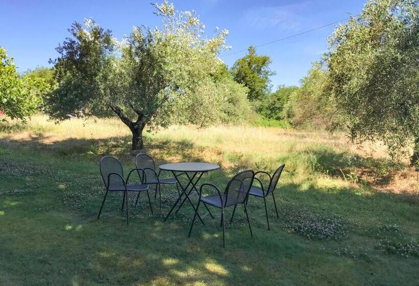Апартаменты 1 Спальня, Agriturismo Testalepre