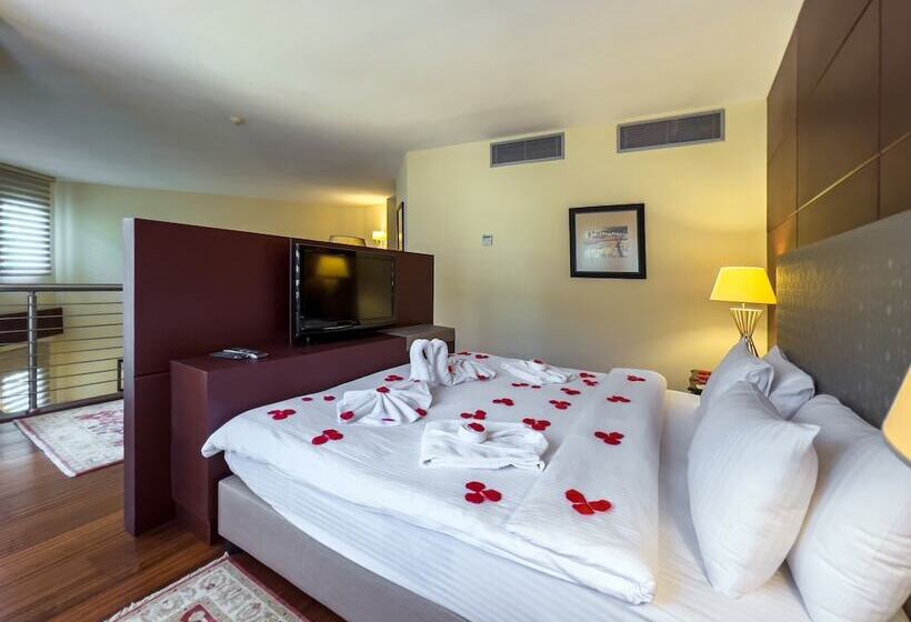 总统套房, Spa Hotel Colossae Thermal