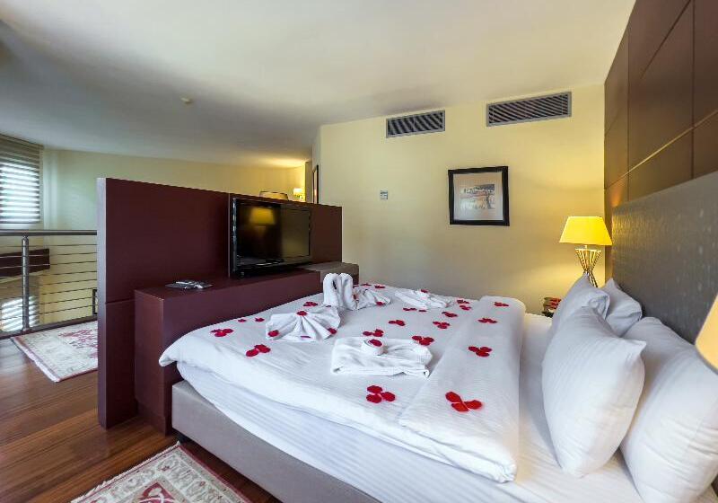 总统套房, Spa Hotel Colossae Thermal