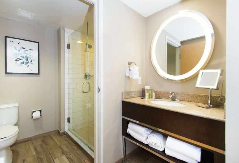 ダブルベッドのスタンダードスタジオ, Doubletree Resort By Hilton Grand Key   Key West